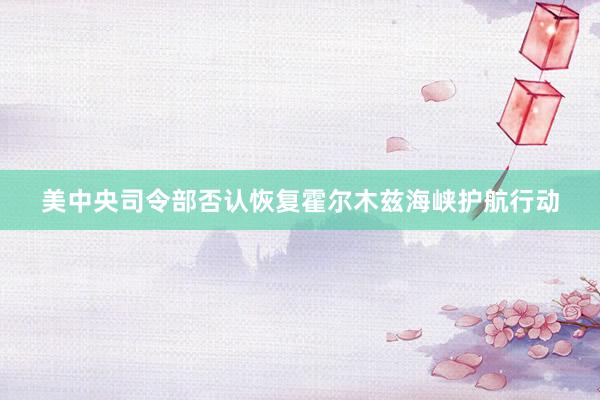 美中央司令部否认恢复霍尔木兹海峡护航行动
