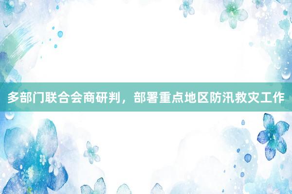 多部门联合会商研判，部署重点地区防汛救灾工作