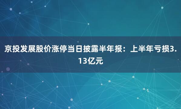 京投发展股价涨停当日披露半年报：上半年亏损3.13亿元