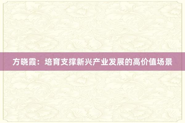 方晓霞：培育支撑新兴产业发展的高价值场景
