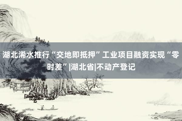 湖北浠水推行“交地即抵押”工业项目融资实现“零时差”|湖北省|不动产登记
