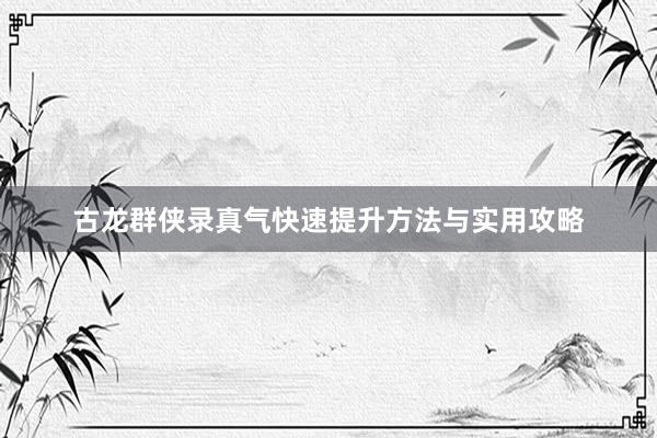 古龙群侠录真气快速提升方法与实用攻略