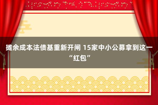 摊余成本法债基重新开闸 15家中小公募拿到这一“红包”