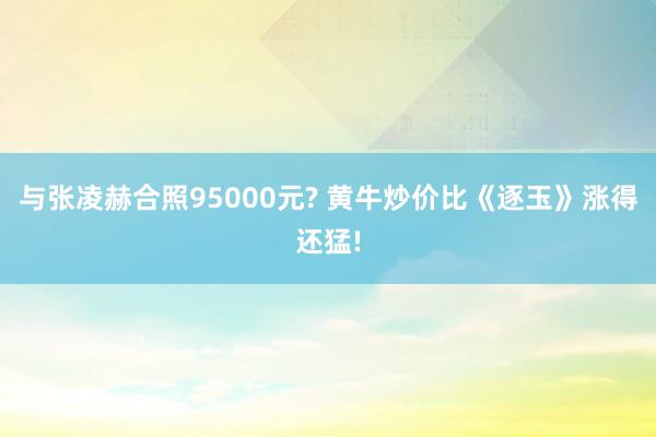 与张凌赫合照95000元? 黄牛炒价比《逐玉》涨得还猛!