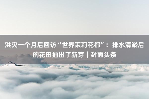 洪灾一个月后回访“世界茉莉花都”：排水清淤后的花田抽出了新芽｜封面头条