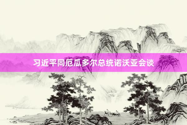 习近平同厄瓜多尔总统诺沃亚会谈