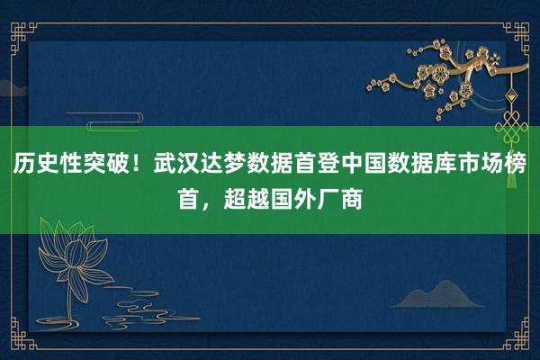 历史性突破！武汉达梦数据首登中国数据库市场榜首，超越国外厂商