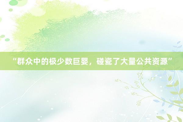 “群众中的极少数巨婴，碰瓷了大量公共资源”