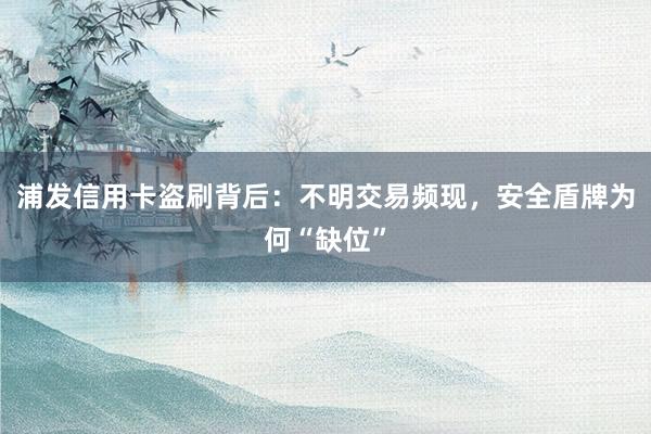浦发信用卡盗刷背后：不明交易频现，安全盾牌为何“缺位”