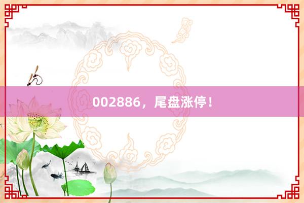 002886，尾盘涨停！
