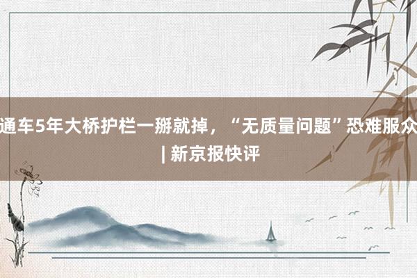 通车5年大桥护栏一掰就掉，“无质量问题”恐难服众 | 新京报快评