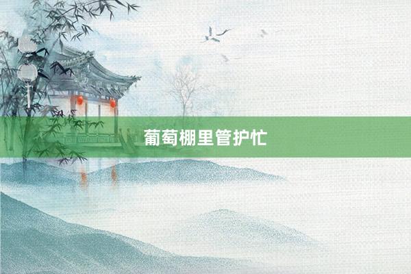 葡萄棚里管护忙