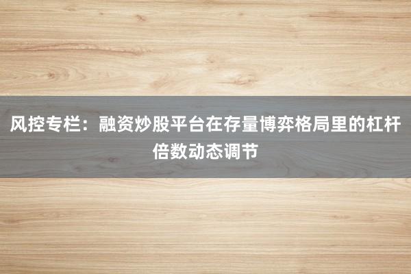 风控专栏：融资炒股平台在存量博弈格局里的杠杆倍数动态调节