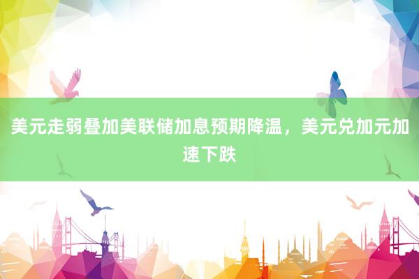 美元走弱叠加美联储加息预期降温，美元兑加元加速下跌