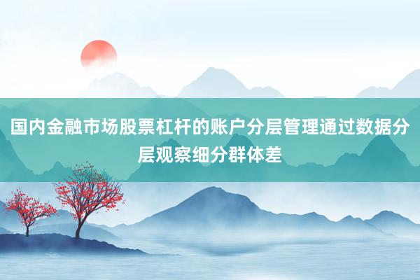 国内金融市场股票杠杆的账户分层管理通过数据分层观察细分群体差