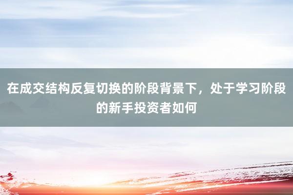 在成交结构反复切换的阶段背景下，处于学习阶段的新手投资者如何