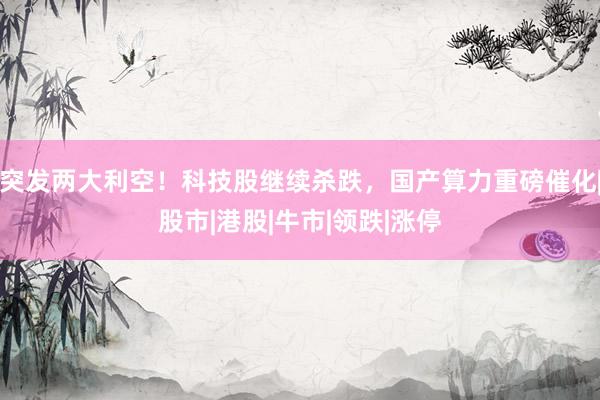 突发两大利空！科技股继续杀跌，国产算力重磅催化|股市|港股|牛市|领跌|涨停