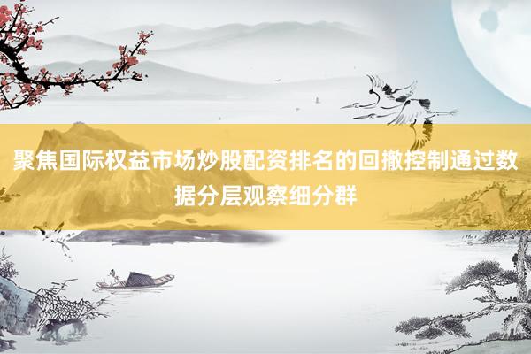 聚焦国际权益市场炒股配资排名的回撤控制通过数据分层观察细分群