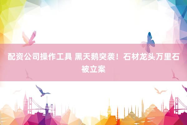 配资公司操作工具 黑天鹅突袭！石材龙头万里石被立案
