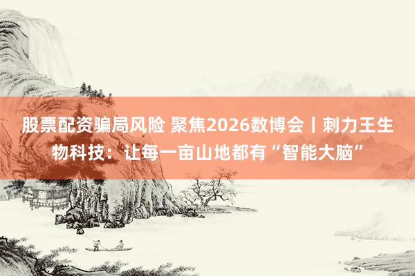 股票配资骗局风险 聚焦2026数博会丨刺力王生物科技：让每一亩山地都有“智能大脑”