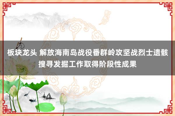 板块龙头 解放海南岛战役番群岭攻坚战烈士遗骸搜寻发掘工作取得阶段性成果