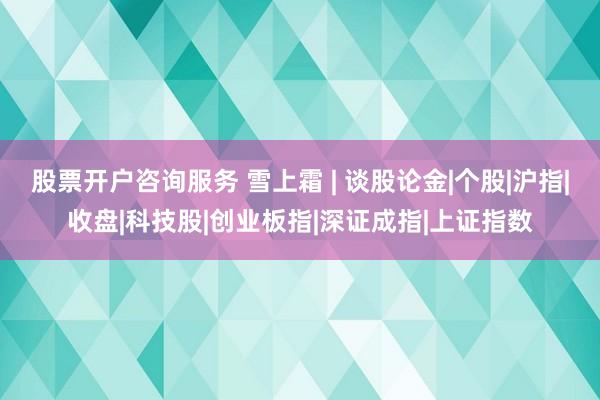 股票开户咨询服务 雪上霜 | 谈股论金|个股|沪指|收盘|科技股|创业板指|深证成指|上证指数