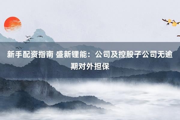新手配资指南 盛新锂能：公司及控股子公司无逾期对外担保