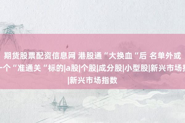 期货股票配资信息网 港股通“大换血“后 名单外或有一个“准通关“标的|a股|个股|成分股|小型股|新兴市场指数