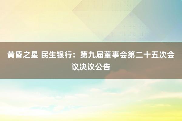 黄昏之星 民生银行：第九届董事会第二十五次会议决议公告
