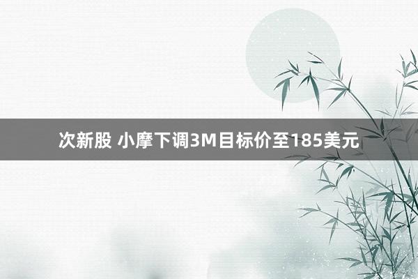 次新股 小摩下调3M目标价至185美元