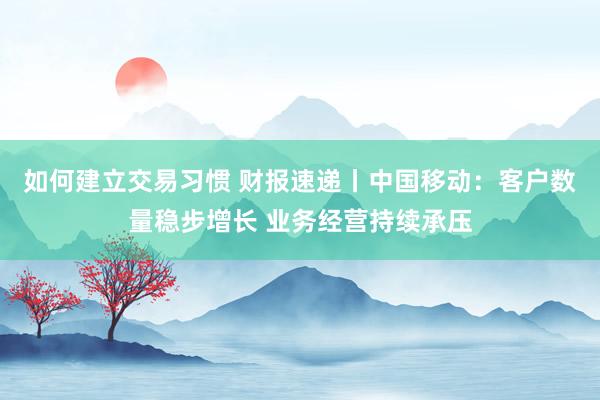 如何建立交易习惯 财报速递丨中国移动：客户数量稳步增长 业务经营持续承压